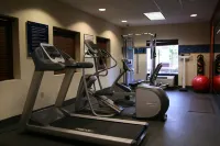 Hampton Inn & Suites Manchester-Bedford - Gym