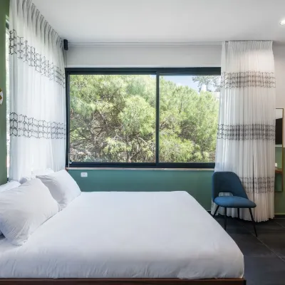 Domus Carmel Hotel Hoteles cerca de Playa Carmel