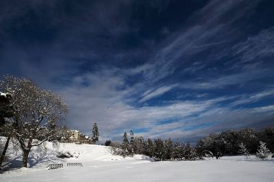 ホテル周辺 ボビーキャッスルの写真
