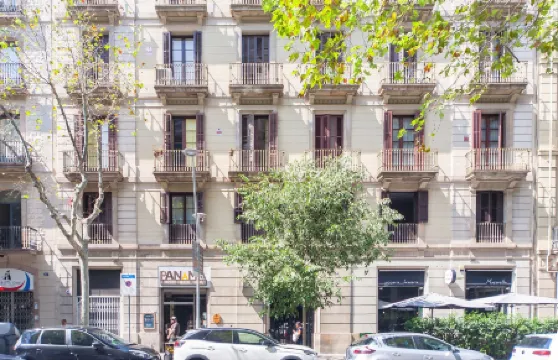 カスプ グリーン ハウス