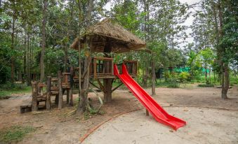 Bong Thom Forest Lodge