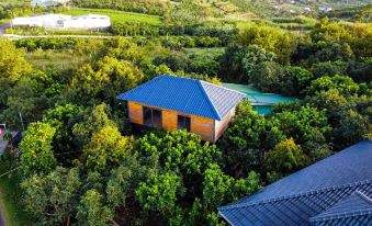 Homestay Vuon Trai Cay Nhiet Doi VO UU Garden