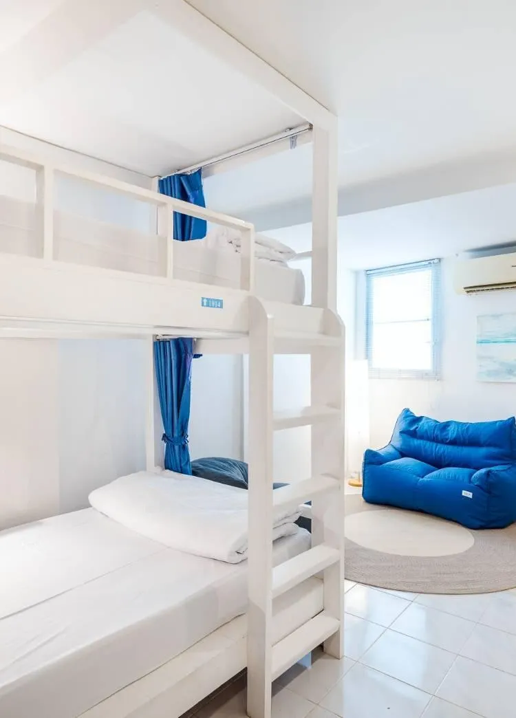 Zone Hostel Male Dormitory Bed-Bunk Bed