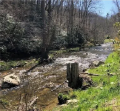 Creek Life Cottage is a place where you can relax and unwind on the creek.