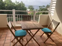 Pakitartane Proche des Plages du Nord de la Martinique