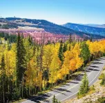 Entire family friendly townhome 4 miles from downtown Cedar City. Close to I-15.