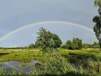 Apartment in Frederikshavn Center