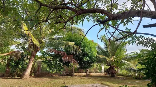 Spacious Holiday Home, Coral Coast Sigatoka. Hotels in Olosara