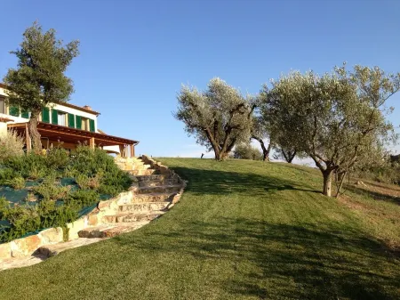 Villa with pool in Capalbio 6 rooms 6 bathrooms immersed in olive grove