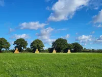 Cherry Blossom - Cosy Cabin in the Countryside with Hot Tub فنادق في نونيتون
