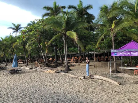 Classic jungle cabin minutes from the beach surrounded by beautiful nature