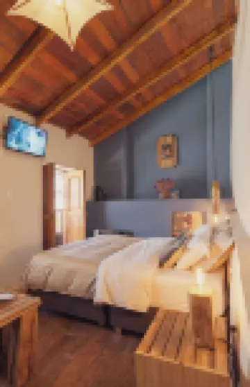 Eucalyptus Home (by Doña Catta)