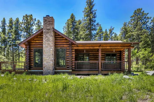 Cozy Mountain Cabin 1 Hour from Denver Backs up to National Forest EV Charging!