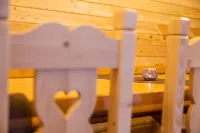 Rustic & cozy 5 bedroom Cabin - in the heart of Apuseni Mountains Hotels in Darlesti