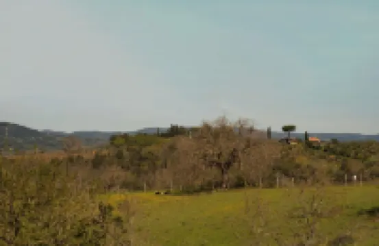 Farmhouse Poggio al Turco - Tuscany View 蘇韋雷託酒店