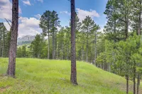 Keystone Escape w/ Amazing Mt Rushmore View! - Maalaistalo