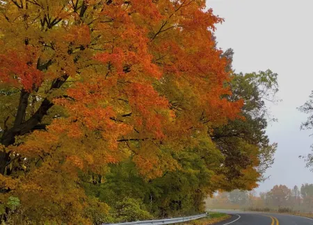 New studio/loft near orchards, wineries, & beaches