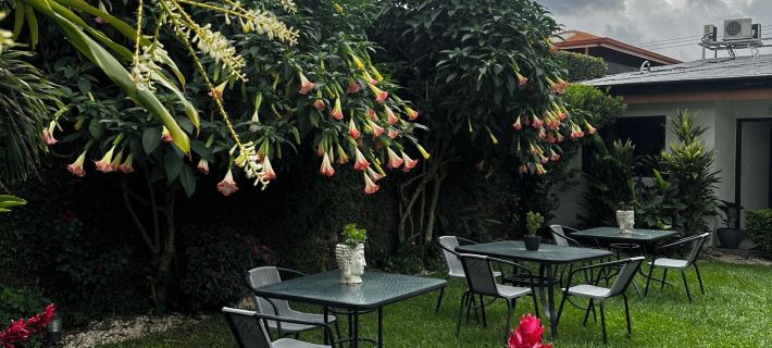 Berlor Airport Inn Hotels in Alajuela
