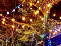 Santa Hills Hotels in Sakura