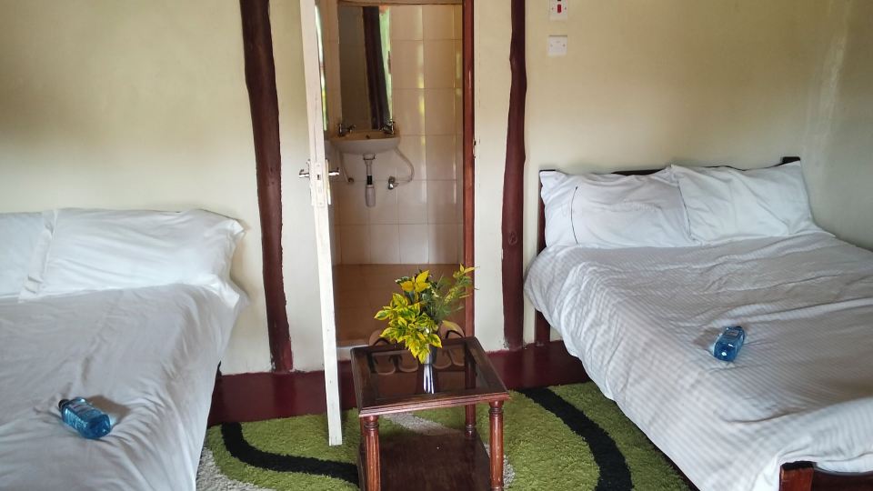 The Great Circle Lodge - Hostel