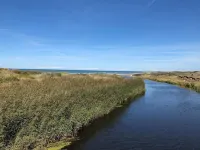 10 person holiday home in Bindslev-By Traum