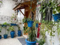 Casa Zitouna- Guest House - Kef, Tunisia Hotels in 