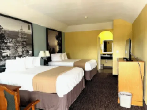 Super 8 by Wyndham Montgomery/ Lake Conroe