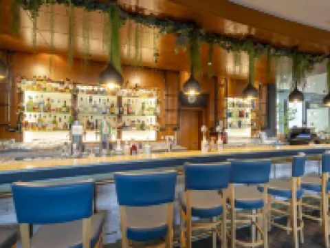 PLAZA INN Zwickau Hotels in Zwickau