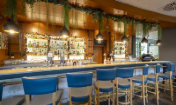 พลาซ่า อินน์ ซวิคเคา