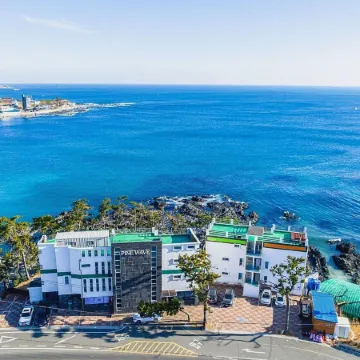 Pohang Pinewave Sea & Spa Pension