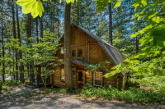 Guten Cabin 3 Bedroom Home by NW Comfy Cabins by RedAwning