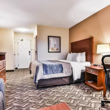 Comfort Inn & Suites Ambassador Bridge