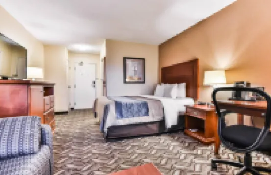 Comfort Inn & Suites Ambassador Bridge
