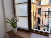 Luma Novara