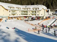 2-room apartment 2-4 persons, directly on the ski slope and hiking trails Hotels in Feldberg