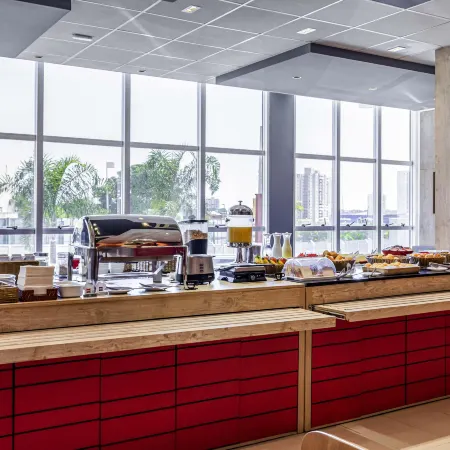 Ibis Uberaba