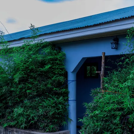 OLIVIA GREEN LODGE