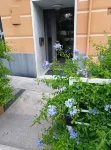 Trasferte e non solo - Alloggi
