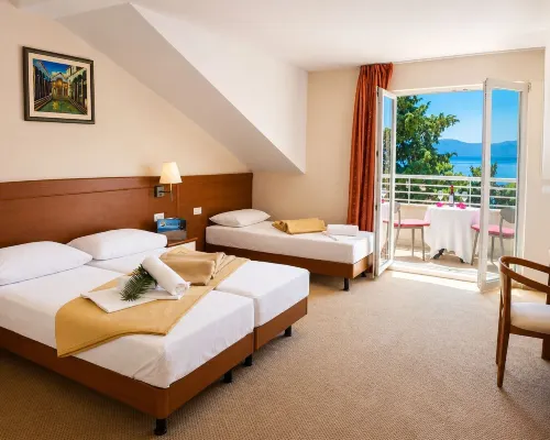 Hotel Neptun Gradac Hotels in Gradac