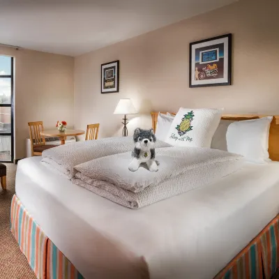 Staypineapple, University Inn, University District Seattle Hotels near Fremont
