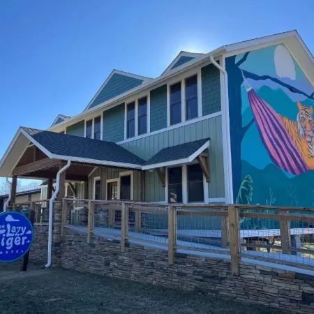 The Lazy Tiger Hostel
