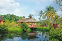 Ameya Kerala - Airport Shuttle