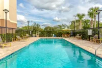 Hampton Inn Okeechobee - Lake Okeechobee - piscine