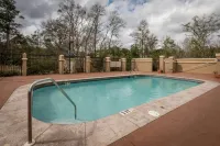 Hampton Inn Enterprise - Pools