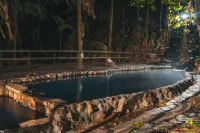 Termales del Bosque & Hot Springs - Hot Springs