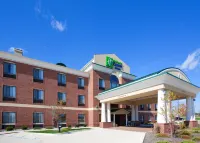 Holiday Inn Express & Suites Chesterfield - Selfridge Area فنادق في ماونت كليمنس