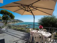 Bouganvilla (Slr402)