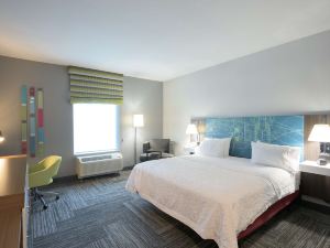 Hampton Inn Buffalo/Hamburg