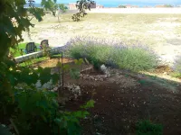 Villa Novalja Katarina Hotels in Novalja