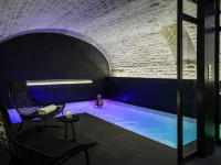Grand Hôtel la Cloche Dijon - MGallery - Gym